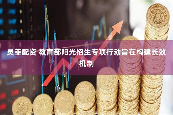灵菲配资 教育部阳光招生专项行动旨在构建长效机制