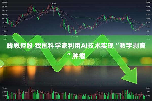 腾思控股 我国科学家利用AI技术实现“数字剥离”肿瘤