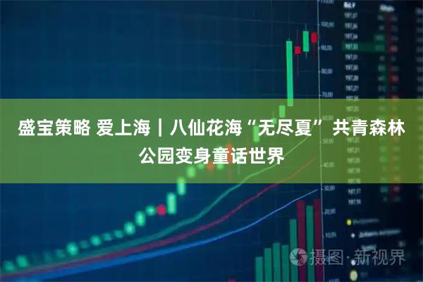 盛宝策略 爱上海｜八仙花海“无尽夏” 共青森林公园变身童话世界