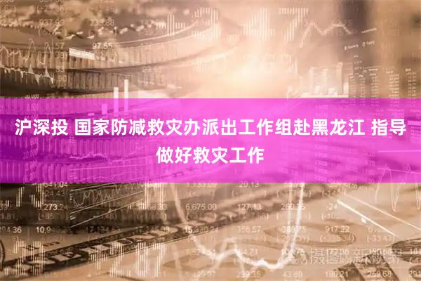 沪深投 国家防减救灾办派出工作组赴黑龙江 指导做好救灾工作