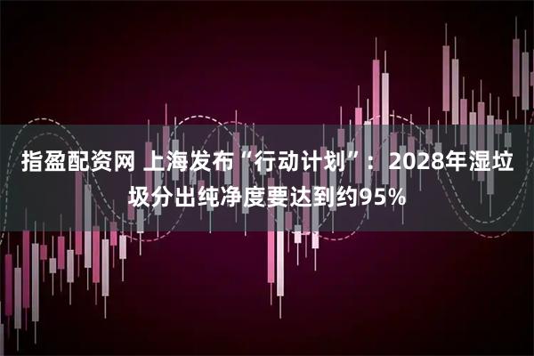 指盈配资网 上海发布“行动计划”:2028年湿垃圾分出纯净度要达到约95%