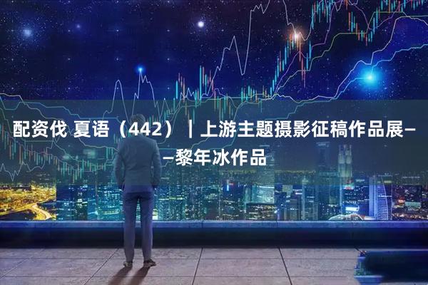 配资伐 夏语（442）｜上游主题摄影征稿作品展——黎年冰作品