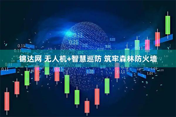 锦达网 无人机+智慧巡防 筑牢森林防火墙