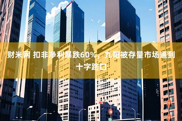 财米网 扣非净利暴跌60%，九阳被存量市场逼到十字路口